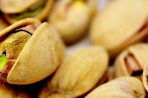 Creamy 3 ingredient pistachio milk recipe with sleep and skin benefits. use discount code plantpower to save on nama & hurom nut milk makers and juicers.