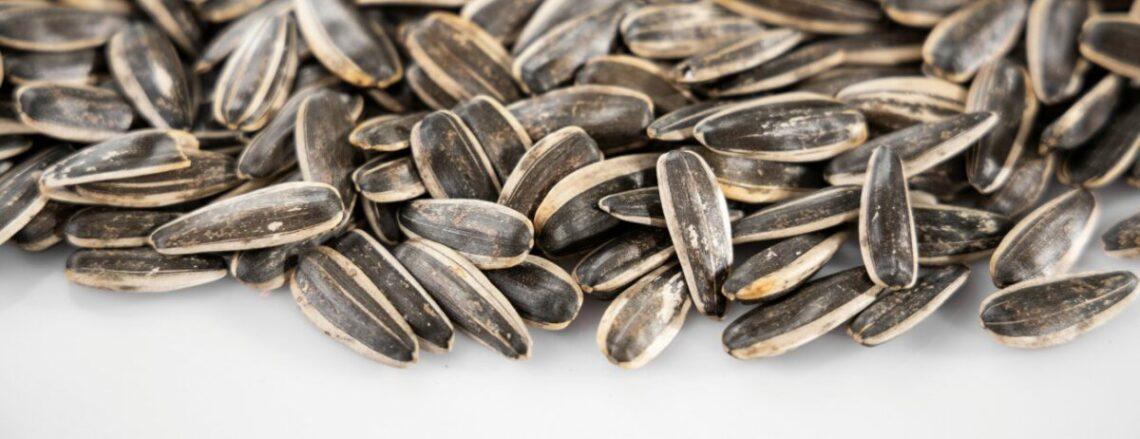 Discover the benefits of sunflower seed milk for skin, hormones, and nerves—with no nuts, no dairy, and plenty of minerals. use discount code plantpower to save on nama & hurom nut milk makers and
