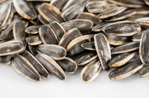 Discover the benefits of sunflower seed milk for skin, hormones, and nerves—with no nuts, no dairy, and plenty of minerals. use discount code plantpower to save on nama & hurom nut milk makers and