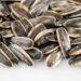 Discover the benefits of sunflower seed milk for skin, hormones, and nerves—with no nuts, no dairy, and plenty of minerals. use discount code plantpower to save on nama & hurom nut milk makers and