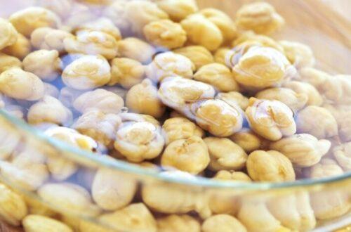 Fresh nut milk, soaked nuts, and a glow up for your gut. use discount code plantpower to save on nama & hurom nut milk makers and juicers.