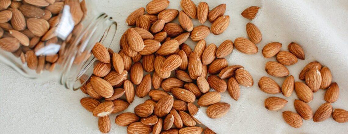 Homemade nut milk can travel too. discover freezer tips, mini cooler tricks, and how to store your blend up to 72 hours. use discount code plantpower to save on nama & hurom nut milk makers and ju