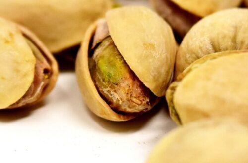 Learn about pistachio milk benefits for skin, sleep, minerals, and gut health. use discount code plantpower to save on nama & hurom nut milk makers and juicers.