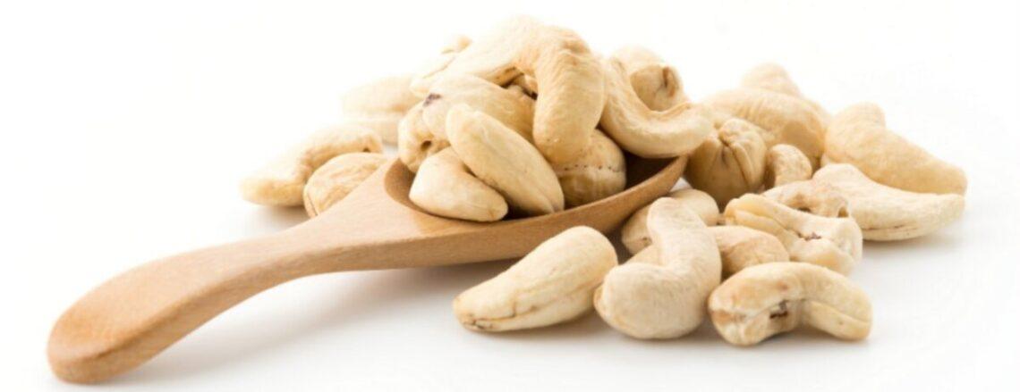 Macadamia and cashew milk compared for creaminess and gut benefits—ideal for building a rotation that supports digestion and texture goals. use discount code plantpower to save on nama & hurom nut