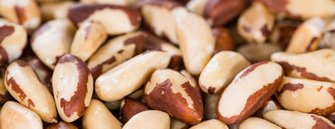 Make brazil nut milk for selenium rich thyroid and hormone support—with a clean taste and no nut bag required. use discount code plantpower to save on nama & hurom nut milk makers and juicers.