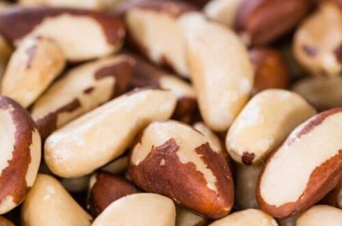 Make brazil nut milk for selenium rich thyroid and hormone support—with a clean taste and no nut bag required. use discount code plantpower to save on nama & hurom nut milk makers and juicers.