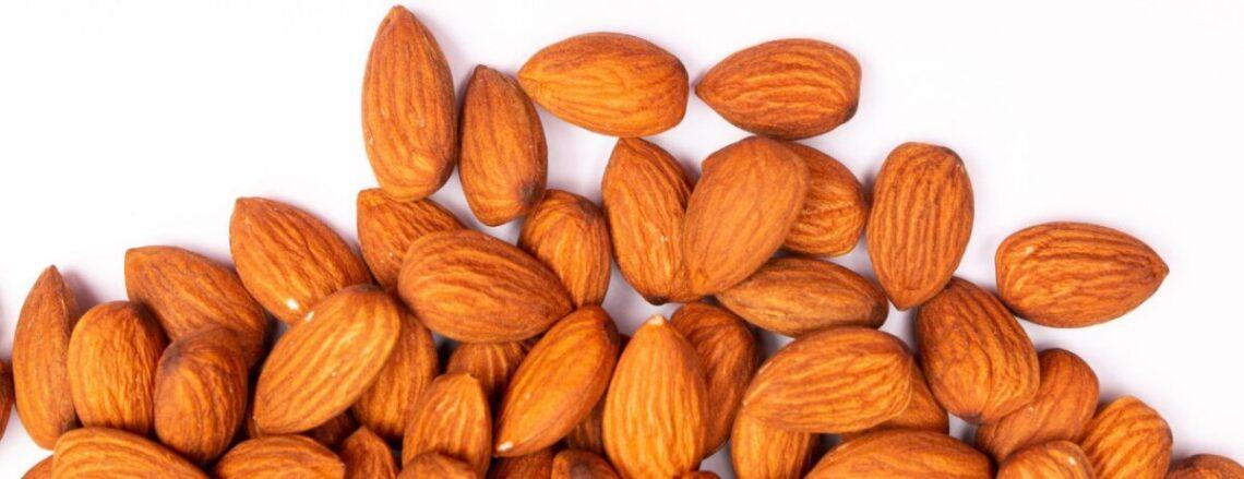 Make almond milk that loves your gut back. learn the prep method that boosts digestion and flavor. use discount code plantpower to save on nama & hurom nut milk makers and juicers.