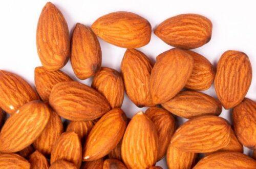 Make almond milk that loves your gut back. learn the prep method that boosts digestion and flavor. use discount code plantpower to save on nama & hurom nut milk makers and juicers.