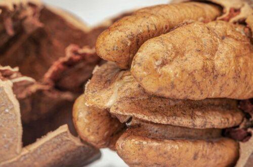 Pecan milk the creamy, full bodied pour your gut and taste buds can agree on. use discount code plantpower to save on nama & hurom nut milk makers and juicers.