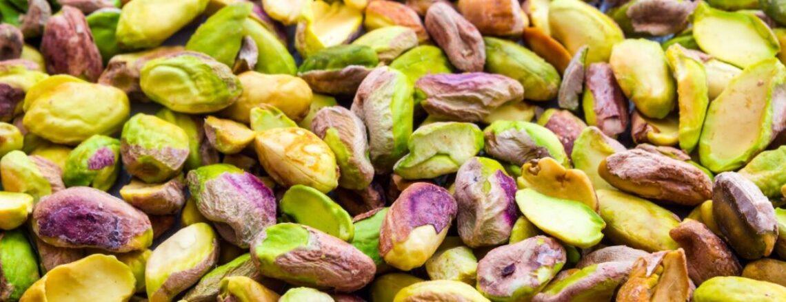 Your go to hub for nut, seed, and plant milk recipes, gut health tips, and juicing tools. use nama discount code plantpower and hurom discount code plantpower for the best nut milk makers and juicers.