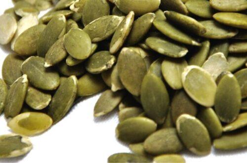 Zinc rich pumpkin seed milk for gut calm, skin support, and hormone balance. use discount code plantpower to save on nama & hurom cold press makers.